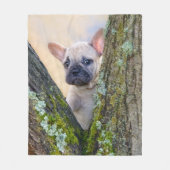 Cute French Bulldog Puppy Posing in a Branch Fork Fleece Deken (Voorkant)