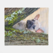 Cute French Bulldog Puppy Posing in a Branch Fork Fleece Deken (Voorkant (Horizontaal))