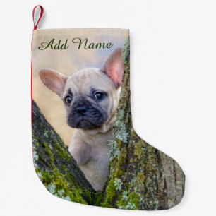 Cute French Bulldog Puppy Posing in a Branch Fork Kleine Kerstsok