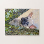 Cute French Bulldog Puppy Posing in a Branch Fork Legpuzzel (Horizontaal)