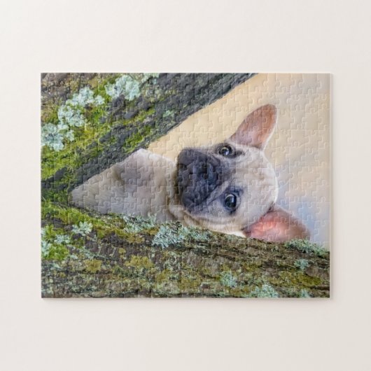 Cute French Bulldog Puppy Posing in a Branch Fork Legpuzzel (Horizontaal)