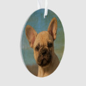Cute French Bulldog Puppy  - round acryl Ornament (voorkant)