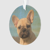 Cute French Bulldog Puppy  - round acryl Ornament (voorkant)