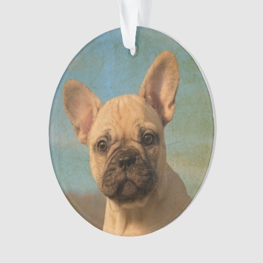 Cute French Bulldog Puppy  - round acryl Ornament (voorkant)