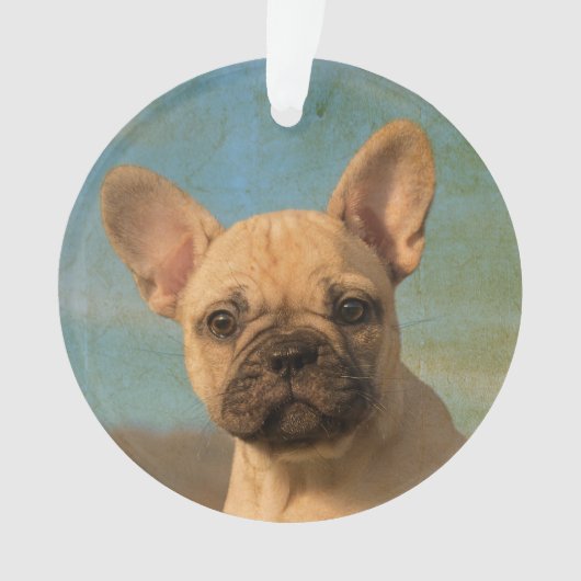 Cute French Bulldog Puppy  - round acryl Ornament (voorkant)