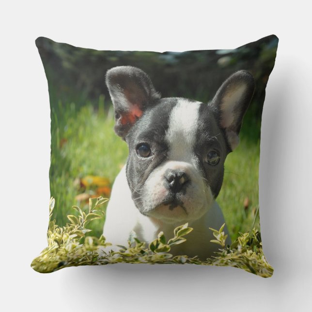 Cute French Bulldog Puppy Sierkussen (Voorkant)