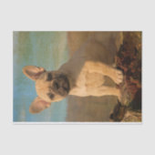 Cute French Bulldog puppy,  Tissuepapier (Voorkant)