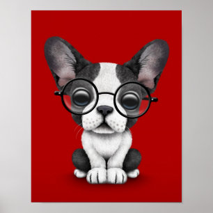 Cute French Bulldog Puppy with Glasses, red Poster