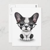 Cute French Bulldog Puppy with Glasses, white Briefkaart (Voorkant / Achterkant)
