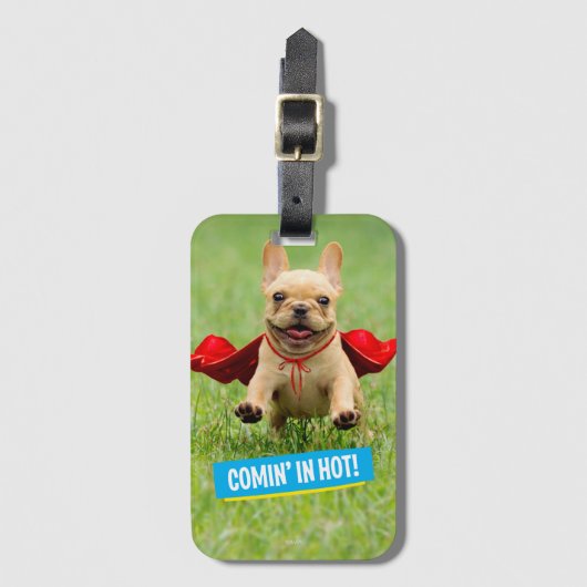 Cute French Bulldog Superheld rent in Grass Bagagelabel (Voorkant (verticaal))