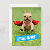 Cute French Bulldog Superheld rent in Grass Briefkaart (Voorkant / Achterkant)