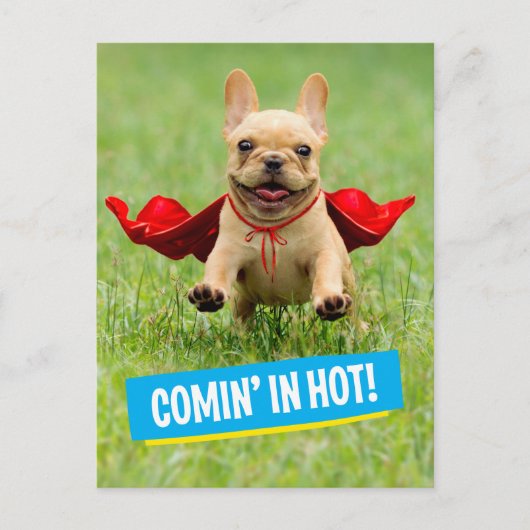 Cute French Bulldog Superheld rent in Grass Briefkaart (Voorkant)
