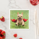 Cute French Bulldog Superheld rent in Grass Servetten (Insitu)