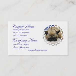 Cute French Bulldog Visitekaartjes