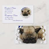 Cute French Bulldog Visitekaartjes (Voorkant / Achterkant)