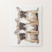 Cute French Bulldogs Legpuzzel (Verticaal)