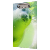 Cute Friendly Seal Underwater Klembord (Links)