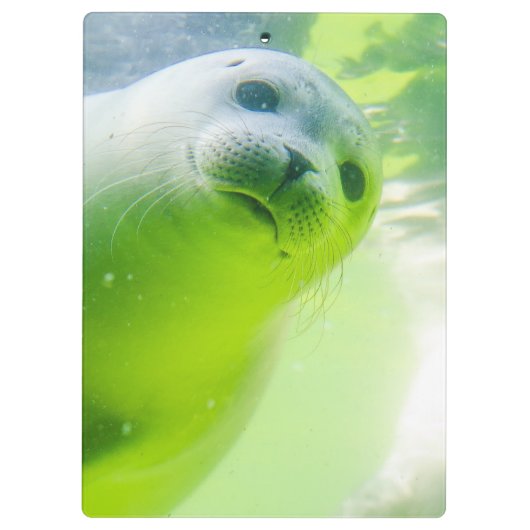 Cute Friendly Seal Underwater Klembord (Achterkant)