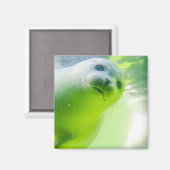 Cute Friendly Seal Underwater Magneet (Voorkant / Achterkant)