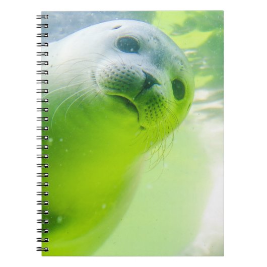 Cute Friendly Seal Underwater Notitieboek (Voorkant)
