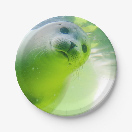Cute Friendly Seal Underwater Papieren Bordje (Voorkant)