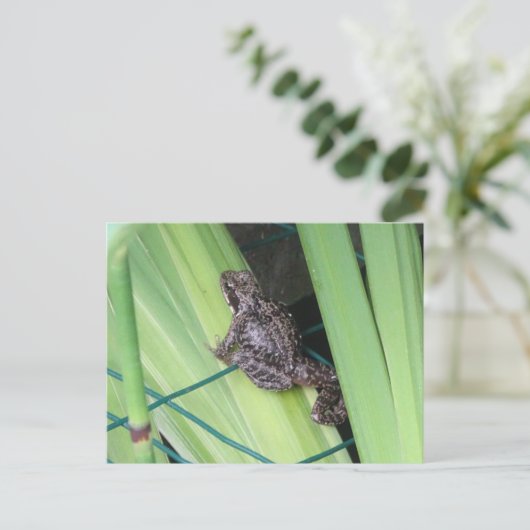 Cute Frog DIY Briefkaart (Staand voorkant)