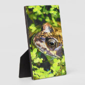 CUTE FROG FOTOPLAAT (Zijkant)