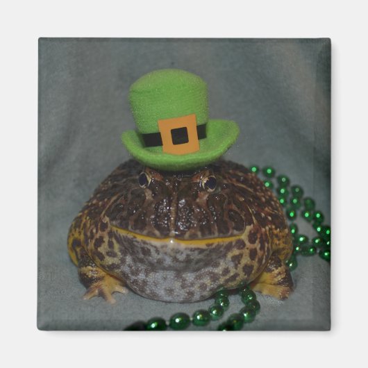 Cute Frog Magneet (Voorkant)