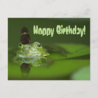 Cute frog met een Butterfly aan zijn neus
