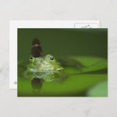 Cute frog met een Butterfly aan zijn neus Briefkaart (Voorkant / Achterkant)