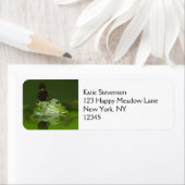 Cute frog met een Butterfly aan zijn neus Etiket (Insitu)