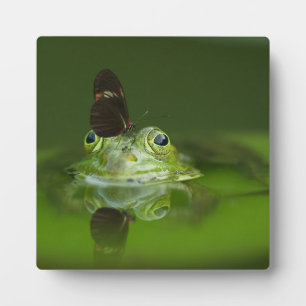 Cute frog met een Butterfly aan zijn neus Fotoplaat