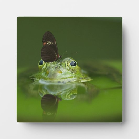 Cute frog met een Butterfly aan zijn neus Fotoplaat (Voorkant)