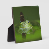 Cute frog met een Butterfly aan zijn neus Fotoplaat (Voorkant)