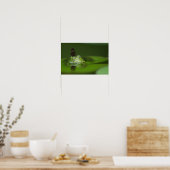 Cute frog met een Butterfly aan zijn neus Poster (Keuken)