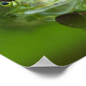 Cute frog met een Butterfly aan zijn neus Poster (Hoek)