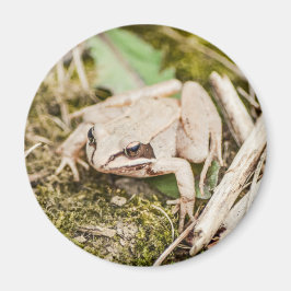 Cute Frog Natuur Woodland Animals Magneet