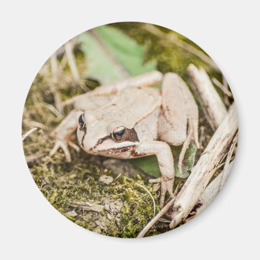 Cute Frog Natuur Woodland Animals Magneet (Voorkant)
