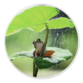 Cute Frog op Lily Beauful Green Natuur Keramische Knop (Voorkant)