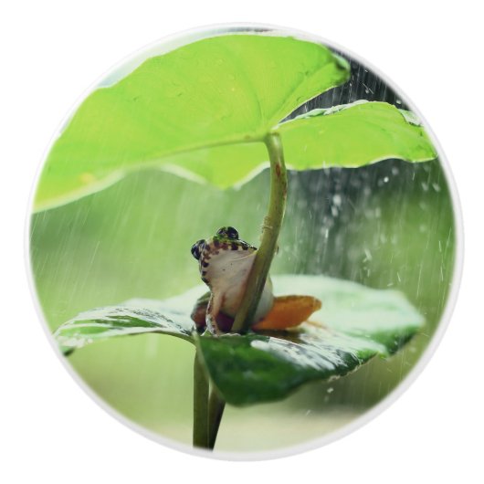 Cute Frog op Lily Beauful Green Natuur Keramische Knop (Voorkant)