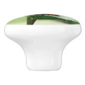 Cute Frog op Lily Beauful Green Natuur Keramische Knop (Zijkant)