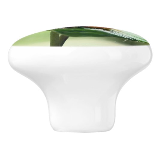 Cute Frog op Lily Beauful Green Natuur Keramische Knop (Zijkant)