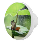 Cute Frog op Lily Beauful Green Natuur Keramische Knop (Rechts)