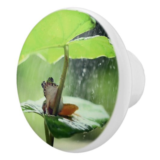 Cute Frog op Lily Beauful Green Natuur Keramische Knop (Rechts)