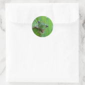 Cute Frog-Stickers Ronde Sticker (Tas)
