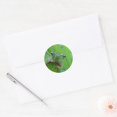 Cute Frog-Stickers Ronde Sticker (Envelop)