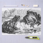 Cute  Frogs Tissuepapier (Craft)