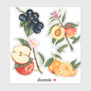 Cute Fruit Sticker