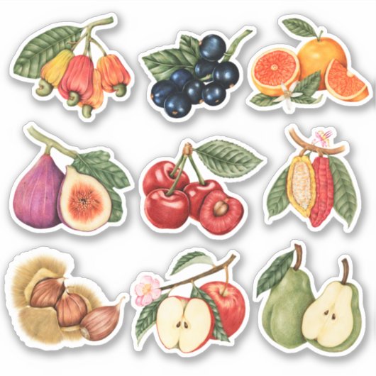 Cute Fruit Sticker (Voorkant)