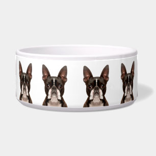 Cute Fun Boston Terrier Hondenras Pattern Voerbakje